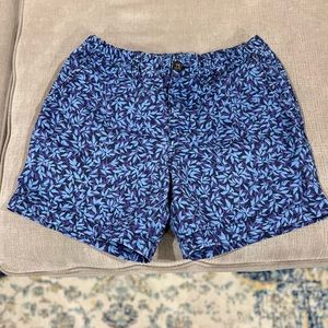 Men’s Chubbies Shorts